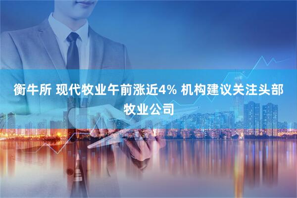 衡牛所 现代牧业午前涨近4% 机构建议关注头部牧业公司