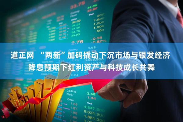 道正网  “两新”加码撬动下沉市场与银发经济 降息预期下红利资产与科技成长共舞