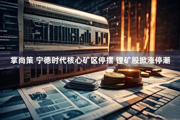 掌尚策 宁德时代核心矿区停摆 锂矿股掀涨停潮