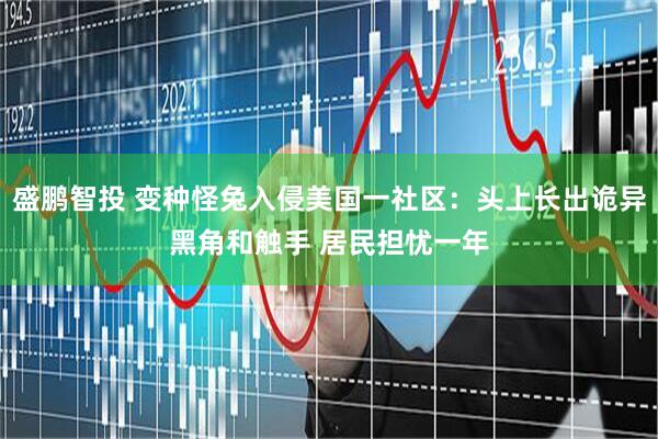 盛鹏智投 变种怪兔入侵美国一社区：头上长出诡异黑角和触手 居民担忧一年
